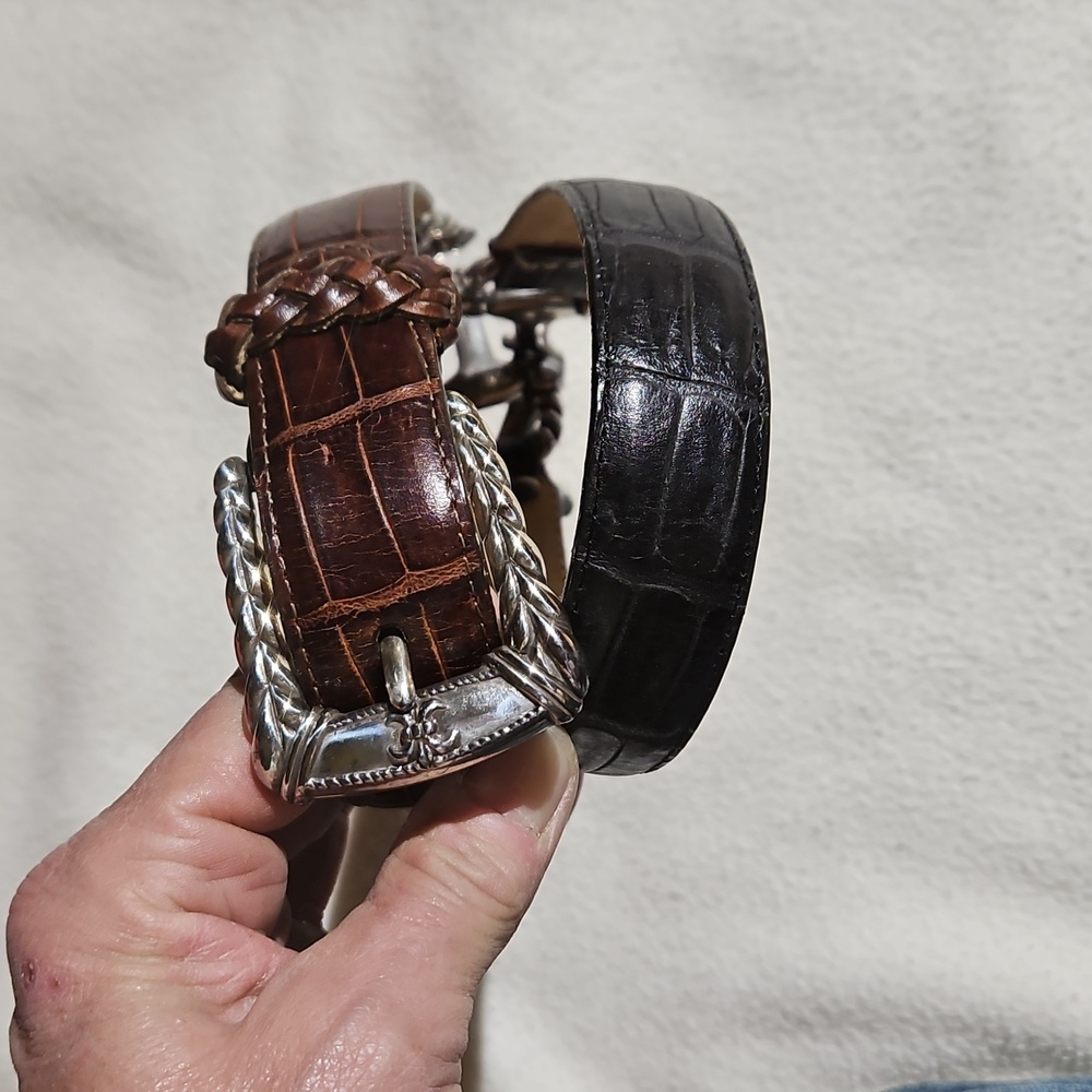 Brighton Belt Black & Brown With Snaffle